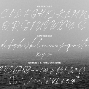 Hallimun Signature Casual Script