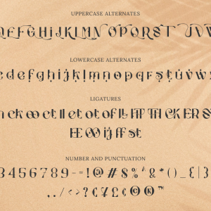 Stockhoolm Medieval Serif