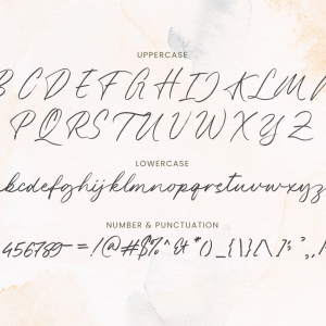 Alesandra Handbrush Script