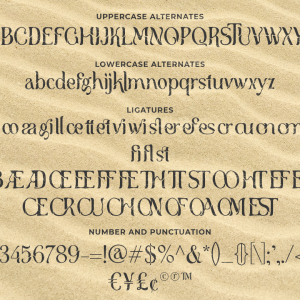 Brooklyn Display Stencil Serif