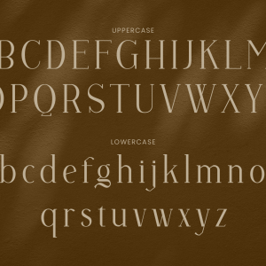 Vulture Beautiful Serif