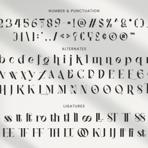 Vagues Elegant Serif