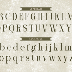 Koolegi Lovely Serif