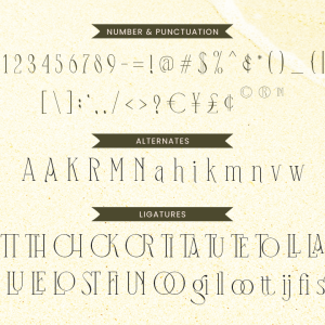 Mangroove Modern Serif