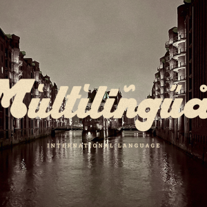 Harllem Display Vintage