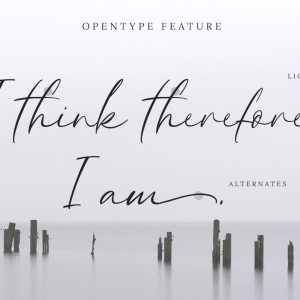 Savannah Signature Script