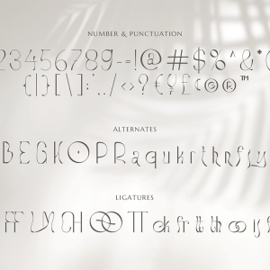 Stockist Elegant Display