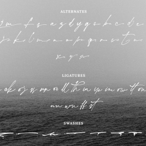 Hallimun Signature Casual Script