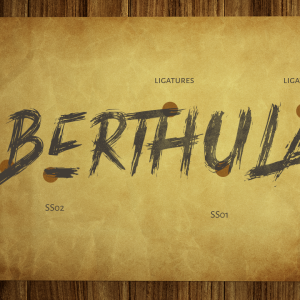 Jacksonville Hand Brush