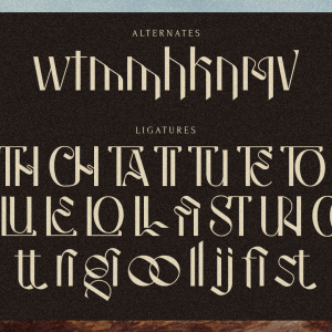 Strooma Retro Display