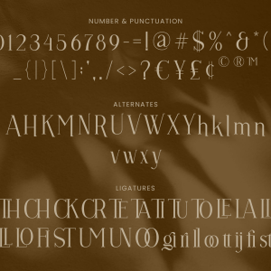 Vulture Beautiful Serif