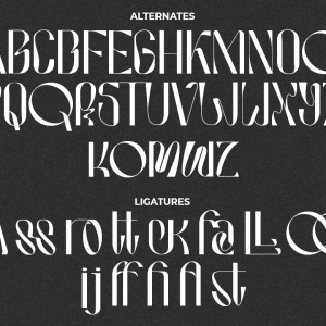 Hausser Modern Display