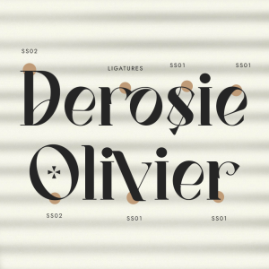 Vagues Elegant Serif