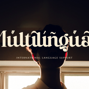 Baginks Birkin Serif