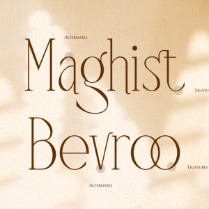 Mangroove Modern Serif