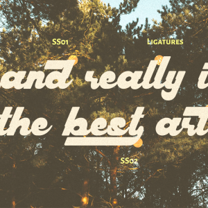 Harllem Display Vintage