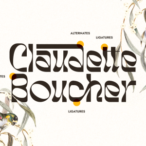 Impetous Display Typeface