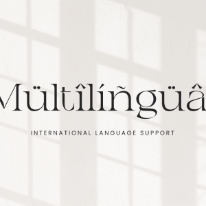 Chanceux Modern Stylish Serif