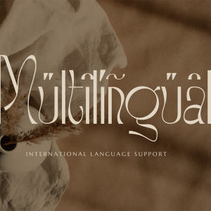 Stockist Elegant Display