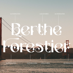 Stockhoolm Medieval Serif