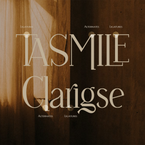 Vulture Beautiful Serif