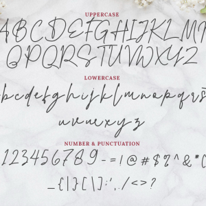 Alexandra Monoline Script