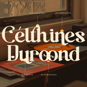 Baginks Birkin Serif