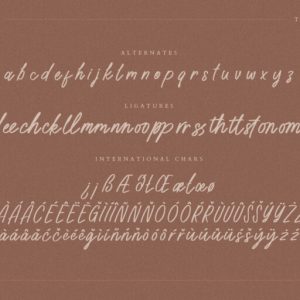 Peachy Handwritten Script