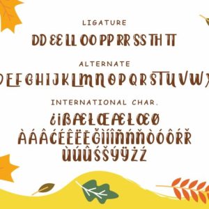 Playgrowth Fun Display