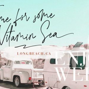 Agatha Christy Signature Collection