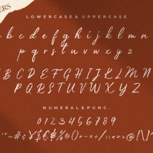 Priscilla Fancy Brush Typeface