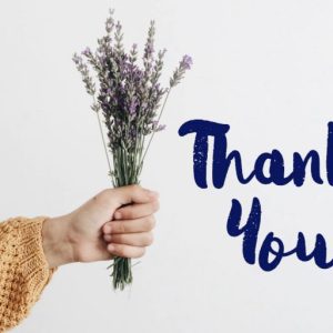 Quicksliver Handdrawn Brush