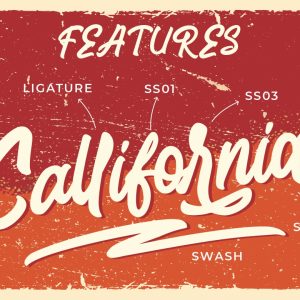 Richany Bold Business Font