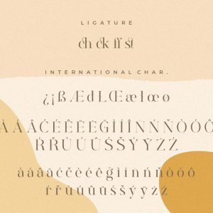 Rostemary Elegant Business Font