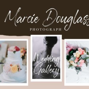 Sabertooth Signature Brush