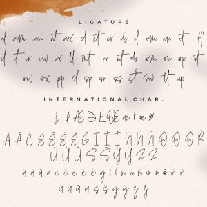 Samantha Signature Business Font