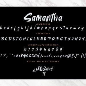 Samantha Brush Stylish Marker