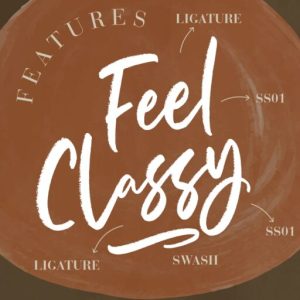 Samanthy Stylish Brush Script