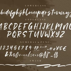 Samanthy Stylish Brush Script