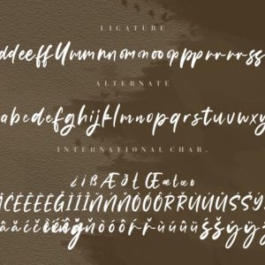 Samanthy Stylish Brush Script