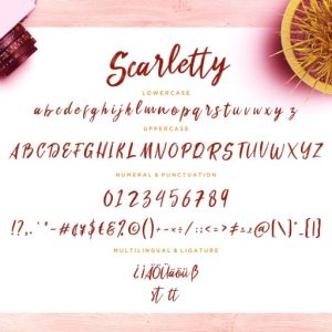 Scarletty Calligraphy Brush