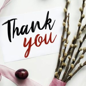 Scarletty Calligraphy Brush