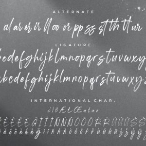 Shutterland Handbrush Script