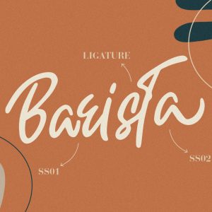 Shuttle Brand Casual Business Font