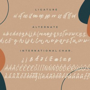 Shuttle Brand Casual Business Font