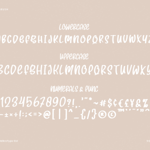 Squishy Brush Business Font