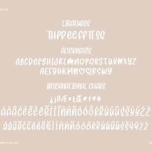 Squishy Brush Business Font