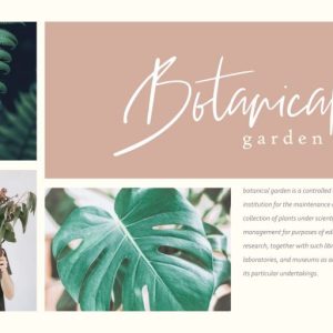 Stadella Signature Script