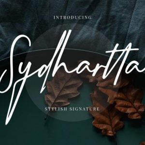 Sydhartta Stylish Signature