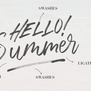 The Brands Quest Signature Brush